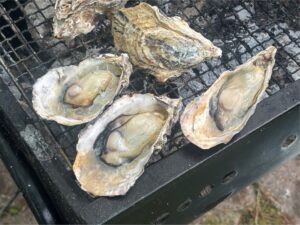 ６月のお休みのお知らせ